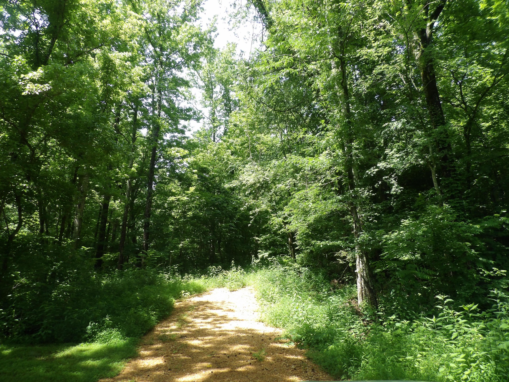0 East Blue Creek Road McEwen, TN 37101 - Photo 3 of 17