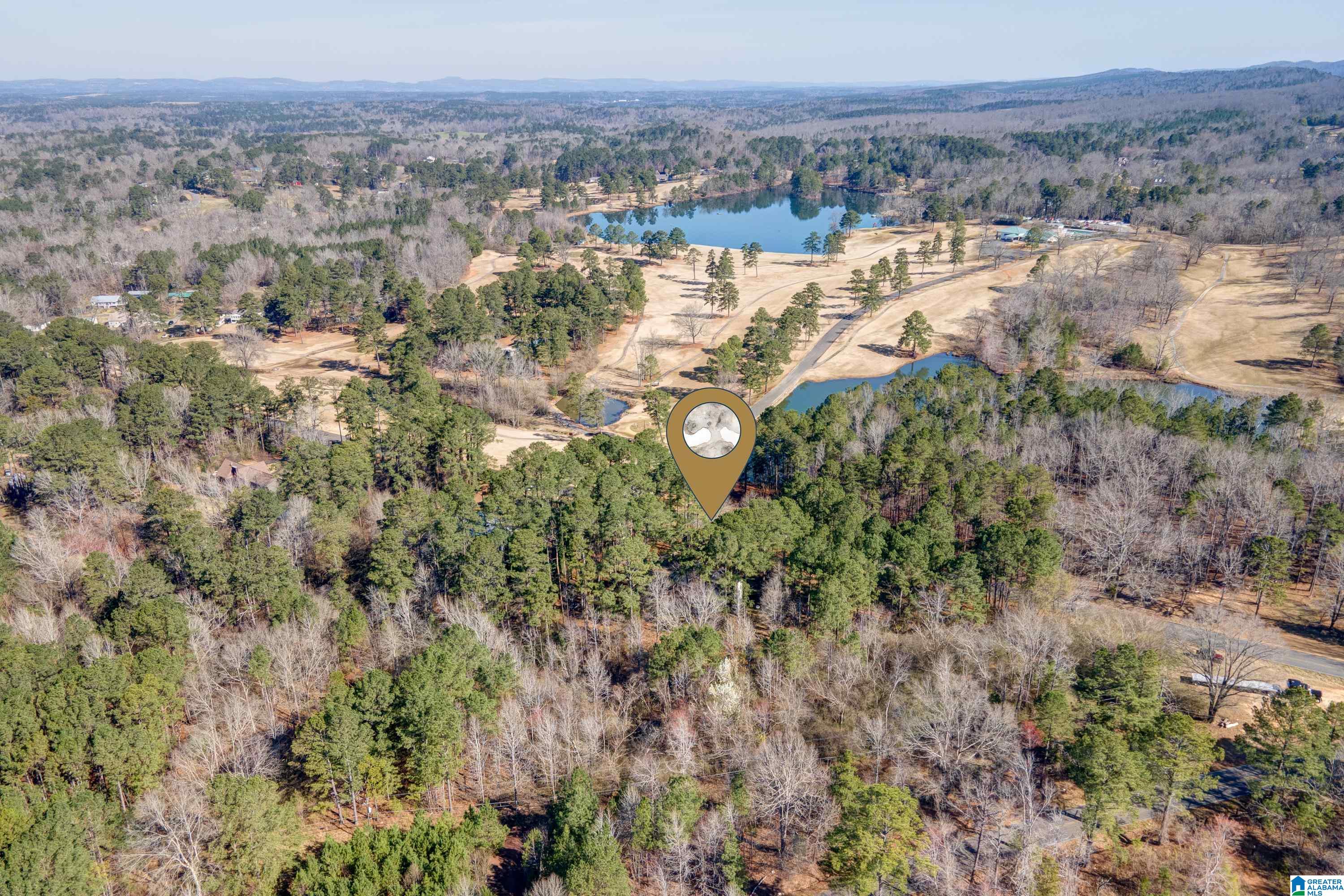 8970 Marsh Mountain Road Pinson, AL 35126 - Photo 40 of 48