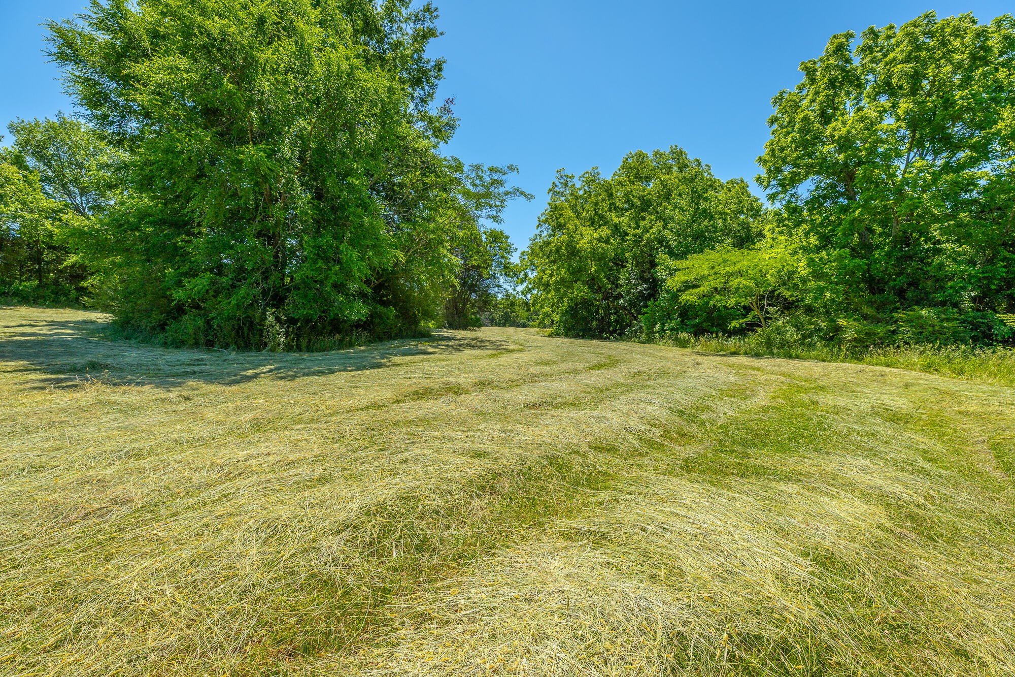 1655 West Cove Road Chickamauga, GA 30707 - Photo 24 of 62 Gallery Image 24