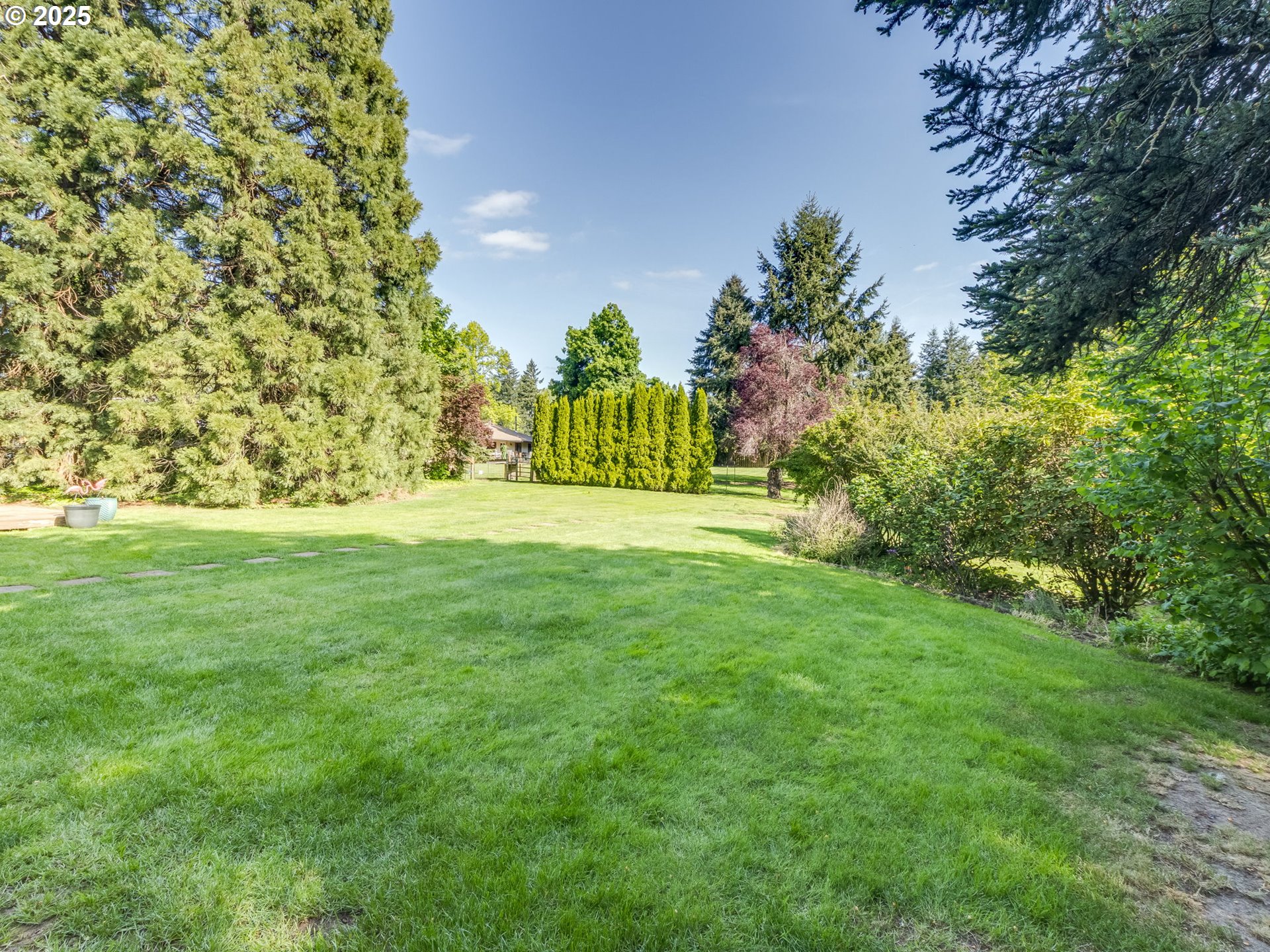11963 Broadacres Road Northeast Hubbard, OR 97032 - Photo 7 of 42 a view of a big yard with plants and large trees
