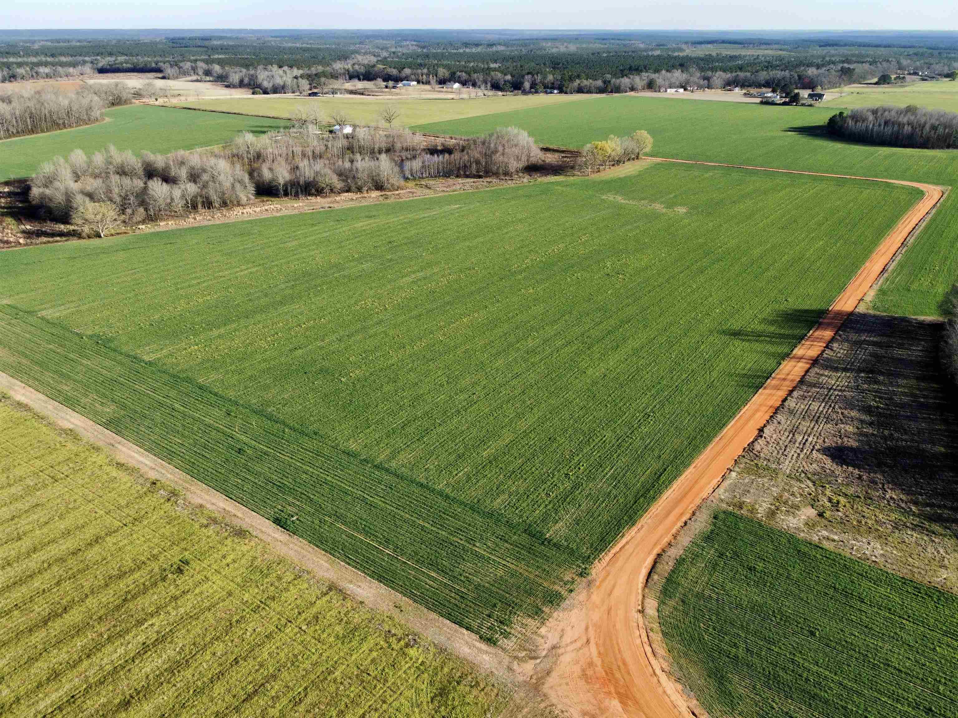 0 Country Road Atmore, AL 36502 - Photo 24 of 27