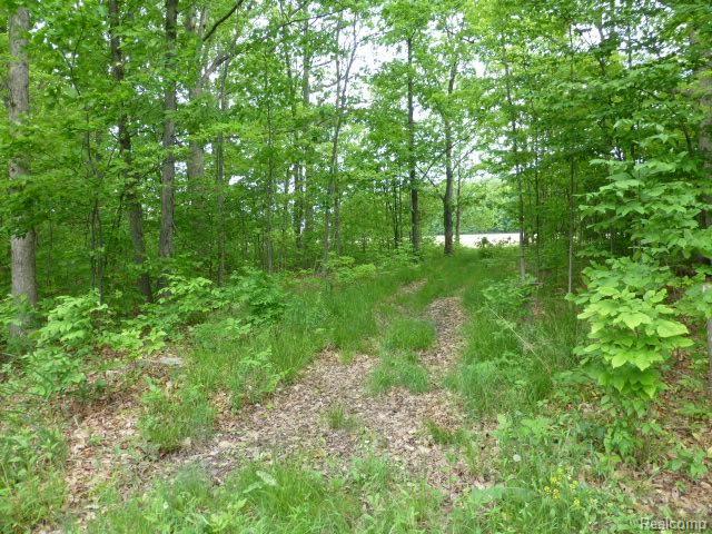 8204 Petz Road Imlay City, MI 48444 - Photo 10 of 60 P1020054.jpg