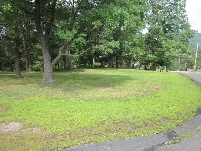 a big yard with lots of green space and trees