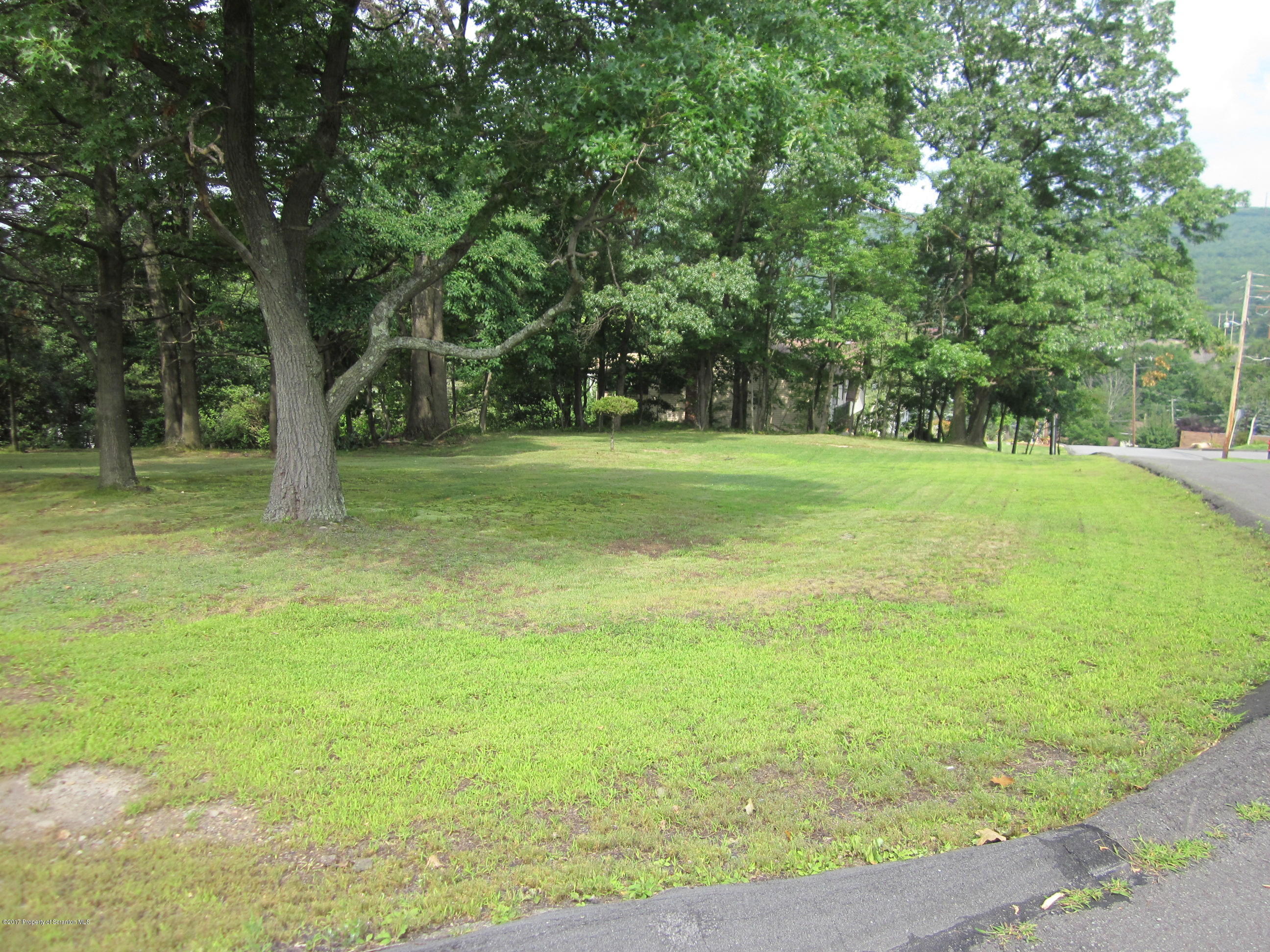 38 Carol Road Peckville, PA 18452 - Photo 11 of 11 a big yard with lots of green space and trees