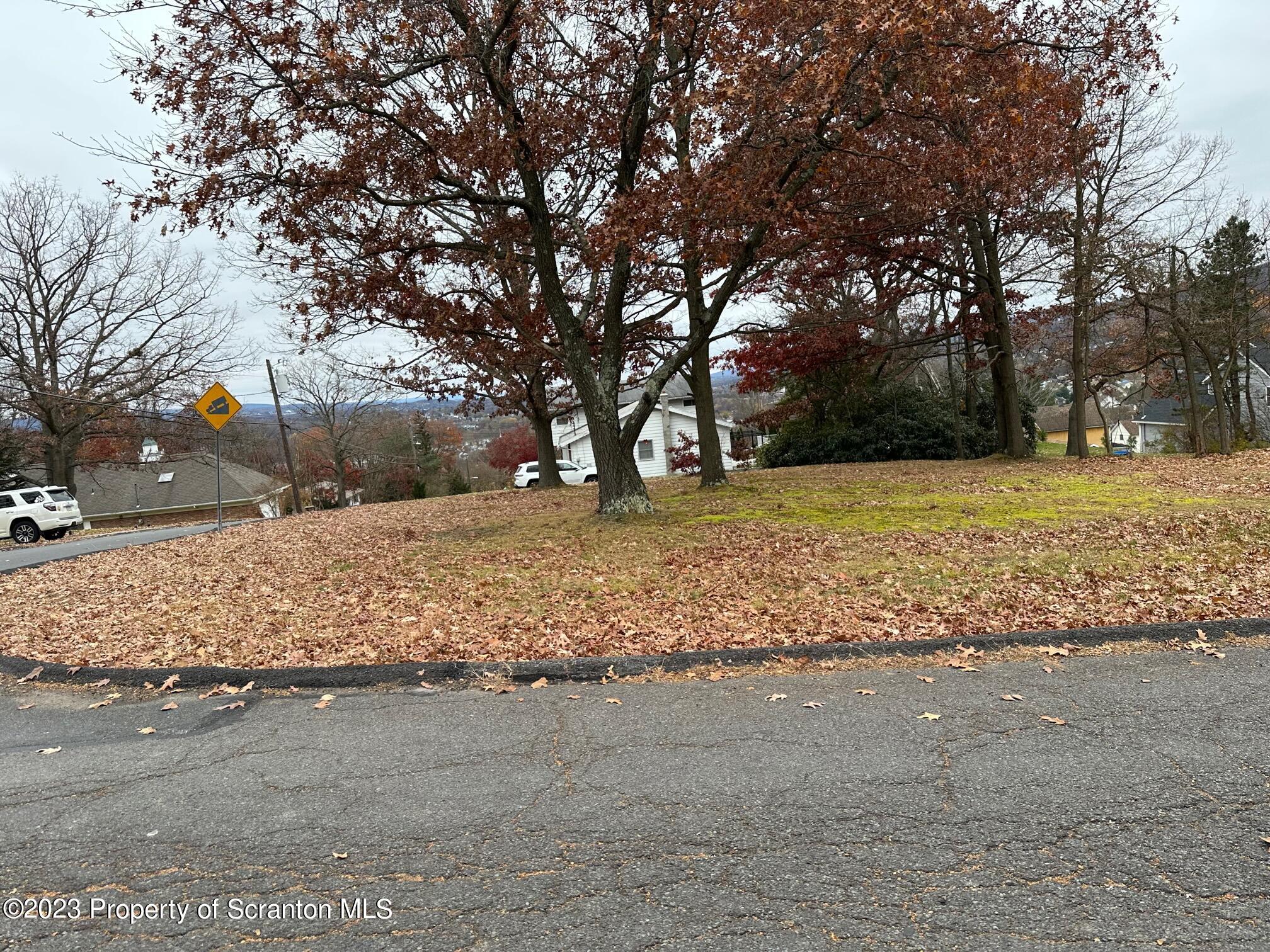 38 Carol Road Peckville, PA 18452 - Photo 2 of 11 a view of large space with a tree