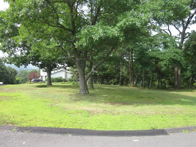 a view of a yard with a trees