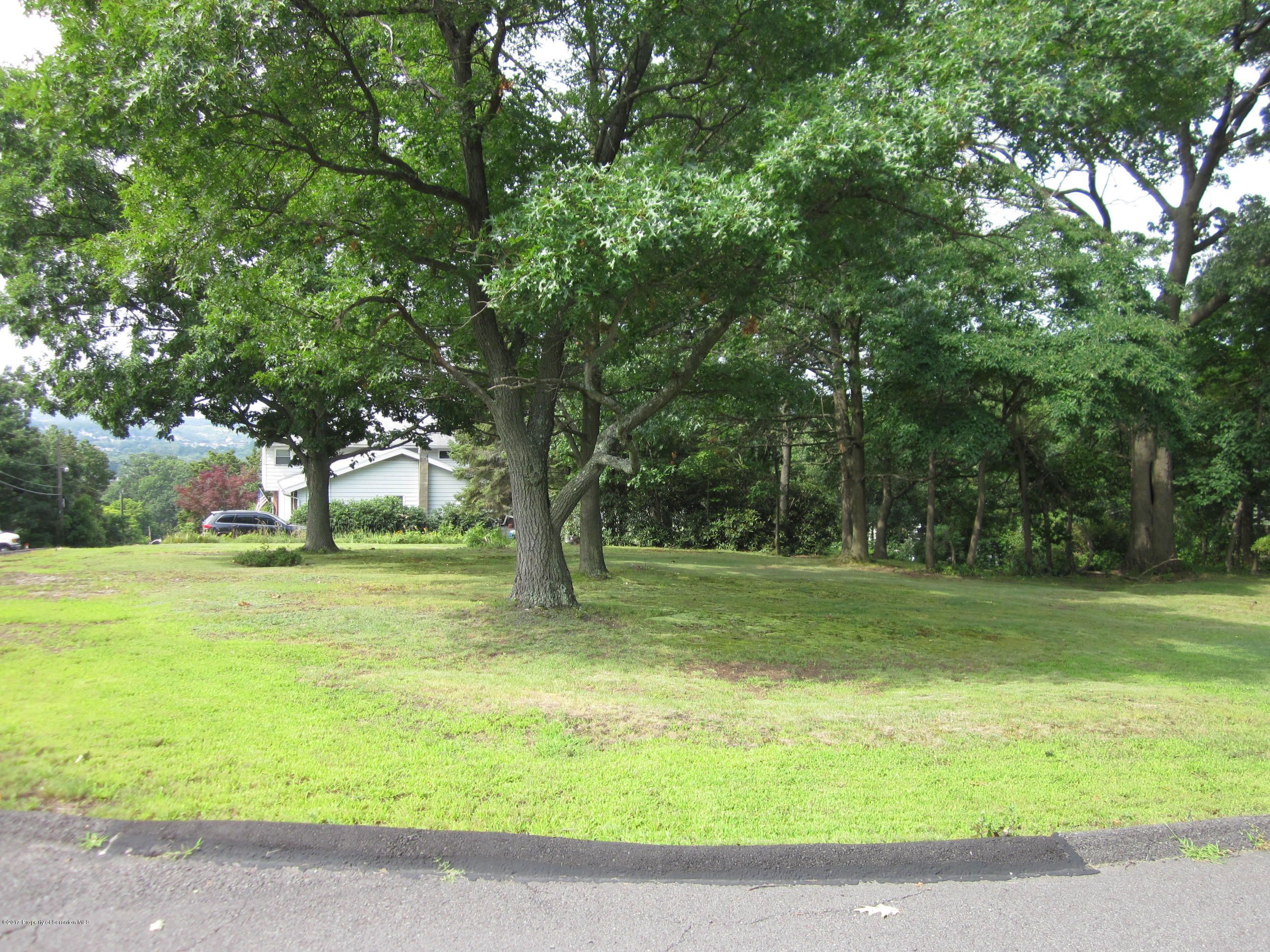 38 Carol Road Peckville, PA 18452 - Photo 8 of 11 a view of a yard with a trees