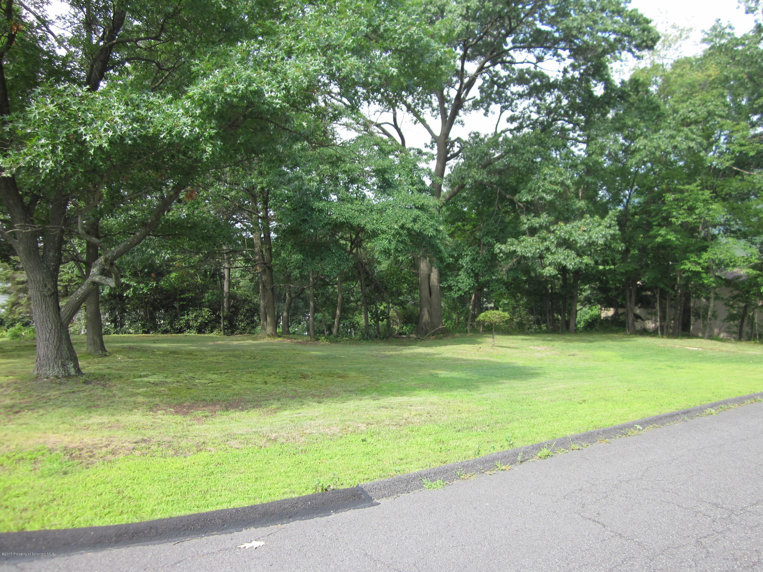 38 Carol Road Peckville, PA 18452 - Photo 9 of 11 a view of a park with large trees
