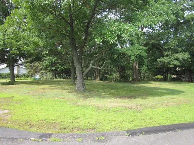 a view of a trees in a yard with palm trees