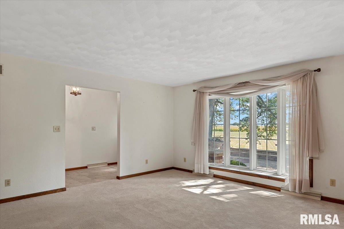 806 Phillips Ferry Road Bluffs, IL 62621 - Photo 17 of 54