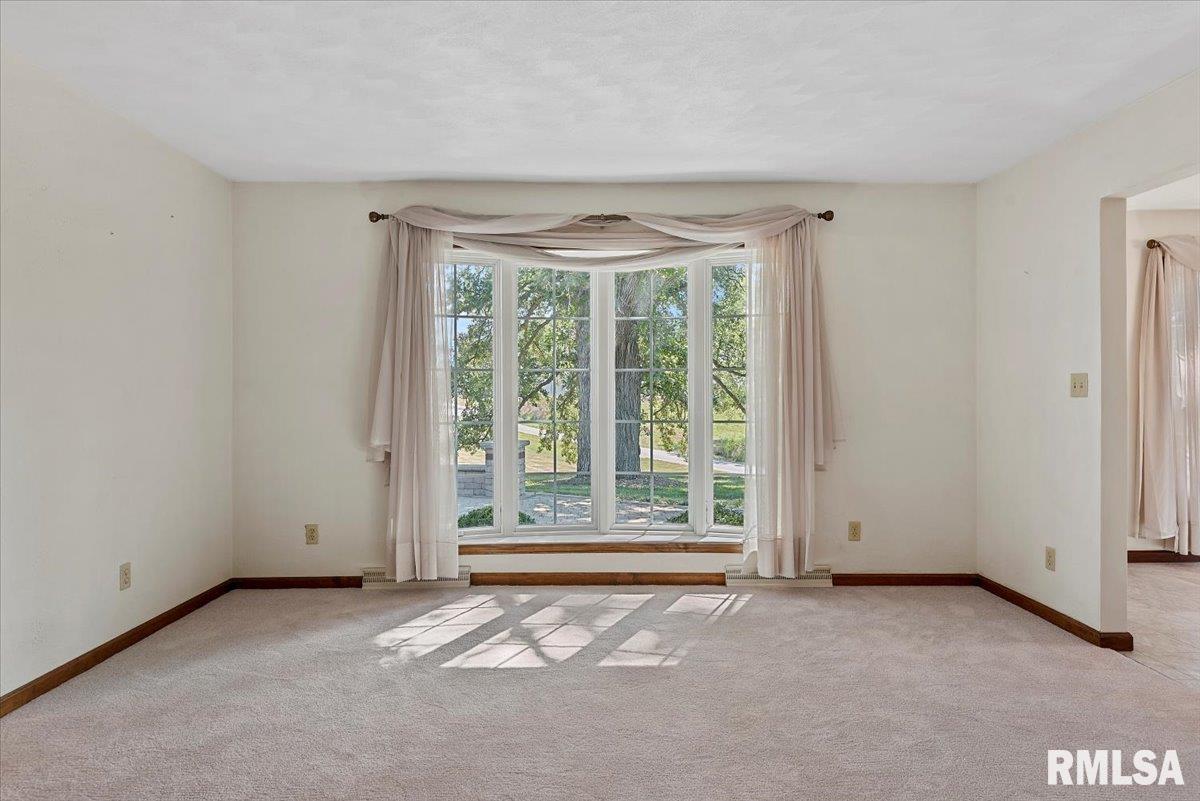 806 Phillips Ferry Road Bluffs, IL 62621 - Photo 18 of 54