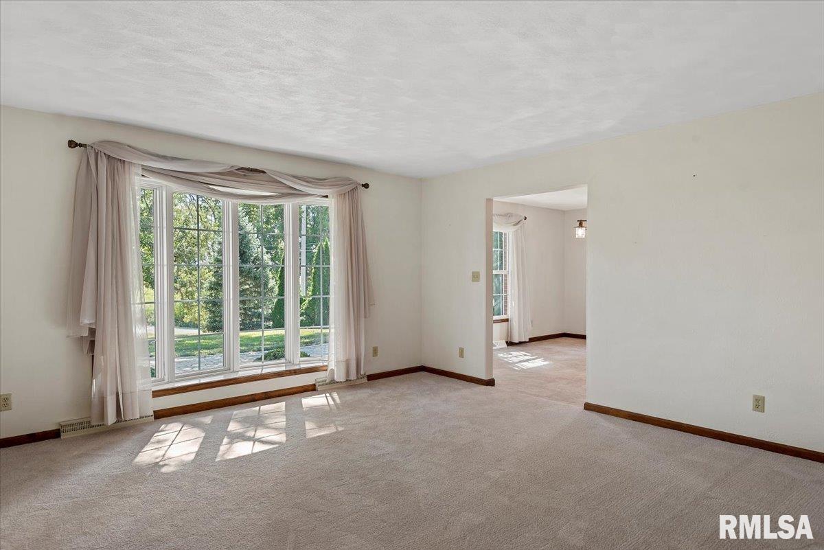 806 Phillips Ferry Road Bluffs, IL 62621 - Photo 19 of 54