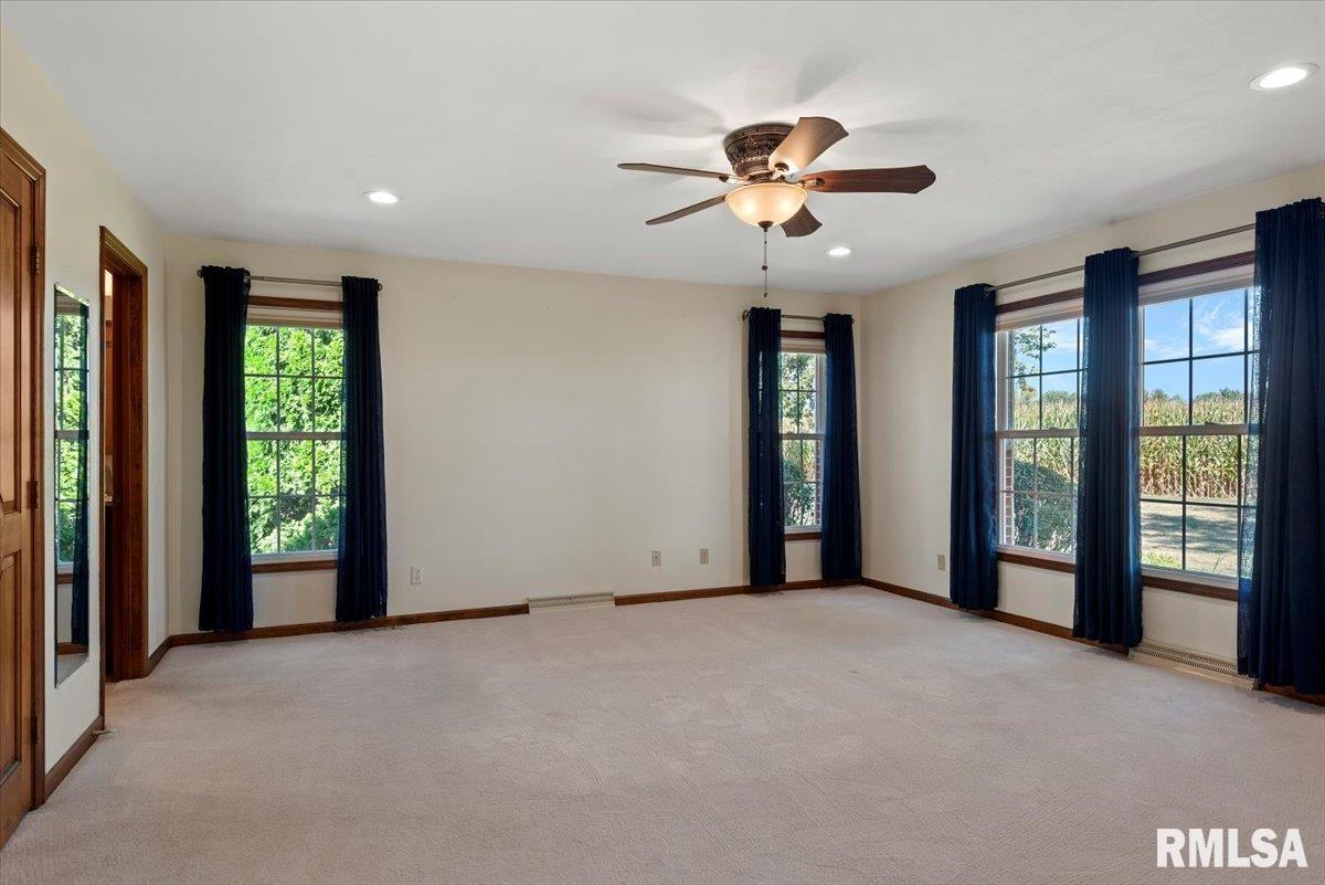 806 Phillips Ferry Road Bluffs, IL 62621 - Photo 21 of 54