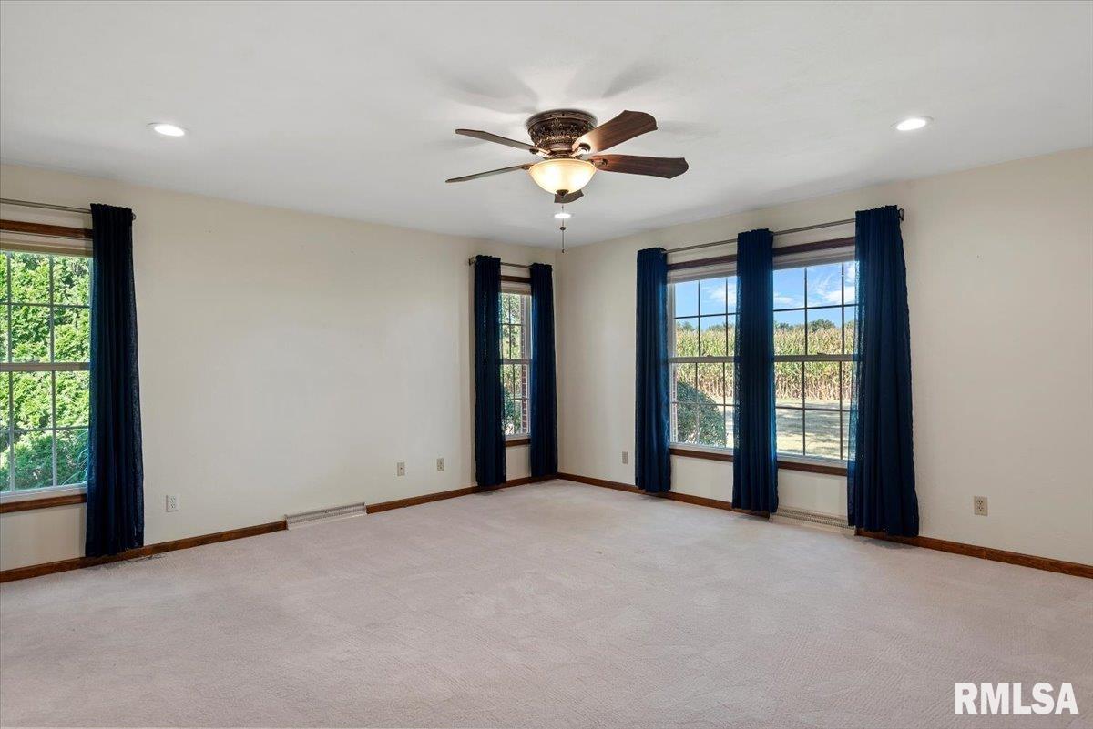 806 Phillips Ferry Road Bluffs, IL 62621 - Photo 24 of 54