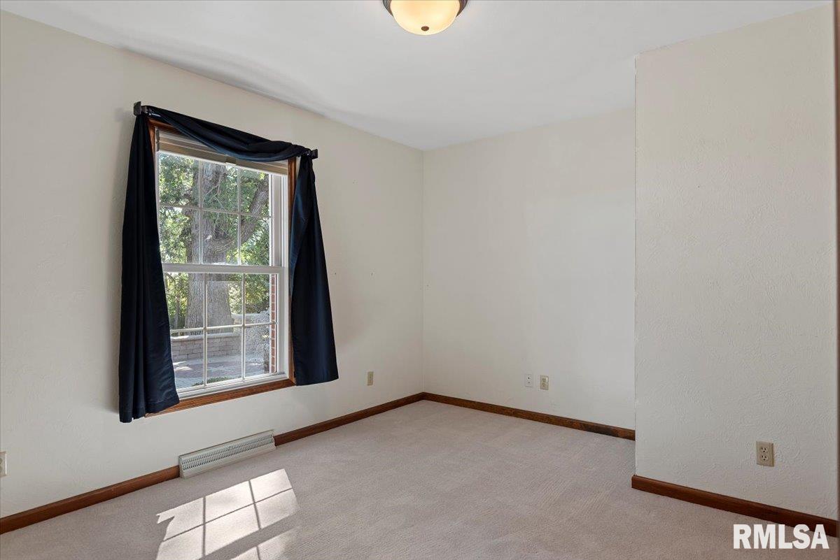 806 Phillips Ferry Road Bluffs, IL 62621 - Photo 28 of 54