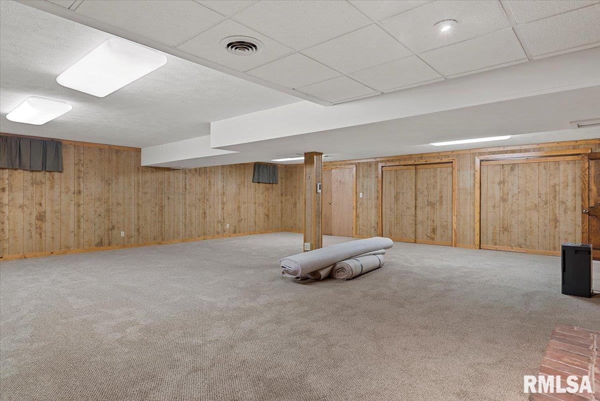 806 Phillips Ferry Road Bluffs, IL 62621 - Photo 33 of 54