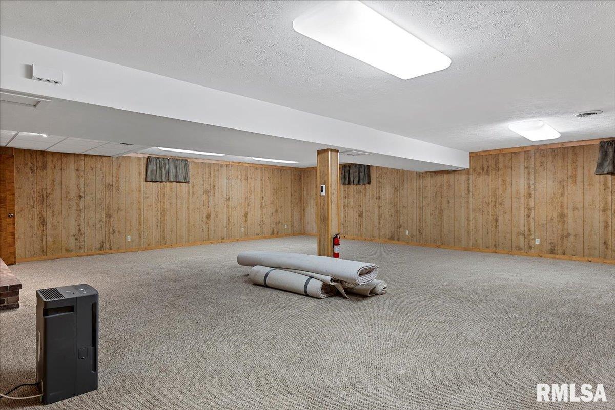 806 Phillips Ferry Road Bluffs, IL 62621 - Photo 37 of 54