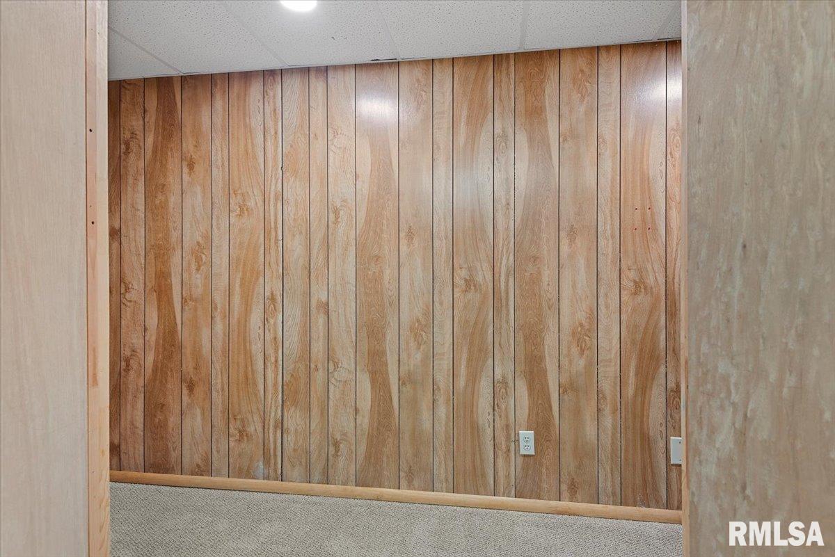 806 Phillips Ferry Road Bluffs, IL 62621 - Photo 38 of 54