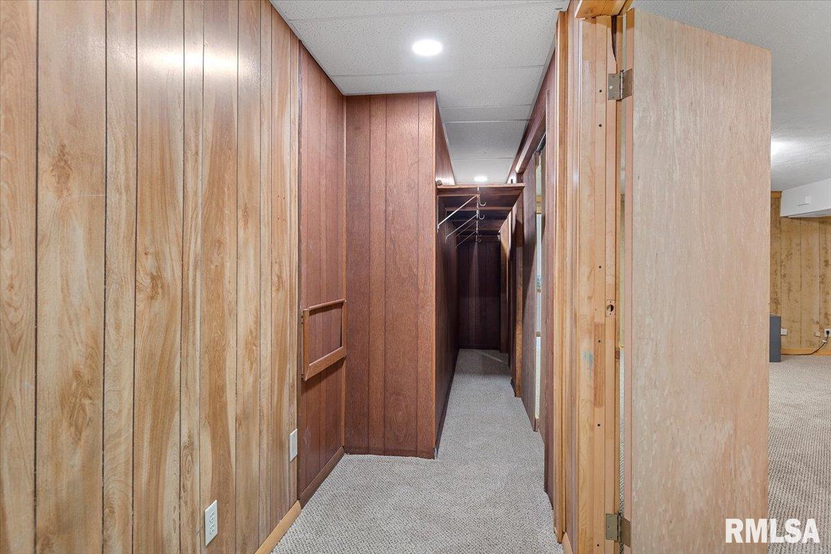 806 Phillips Ferry Road Bluffs, IL 62621 - Photo 39 of 54