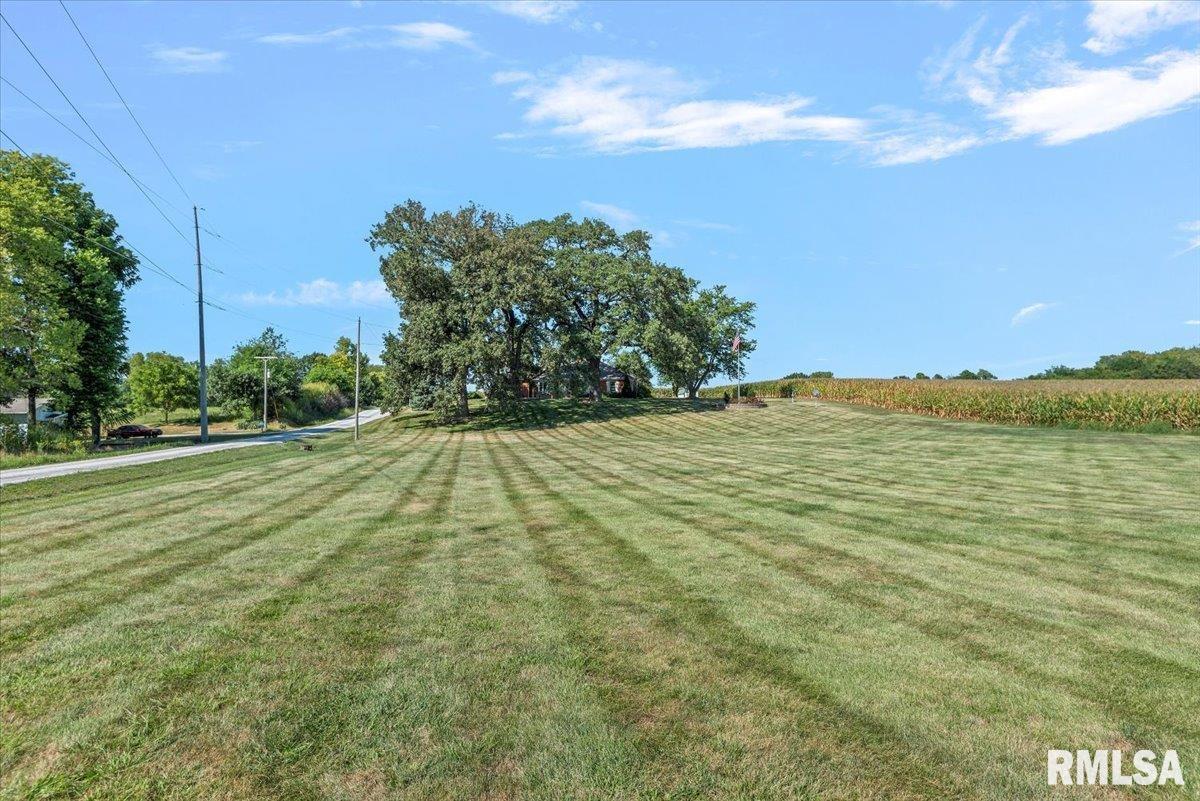 806 Phillips Ferry Road Bluffs, IL 62621 - Photo 45 of 54