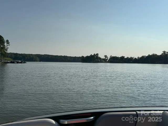 a view of a yard with plants and trees
