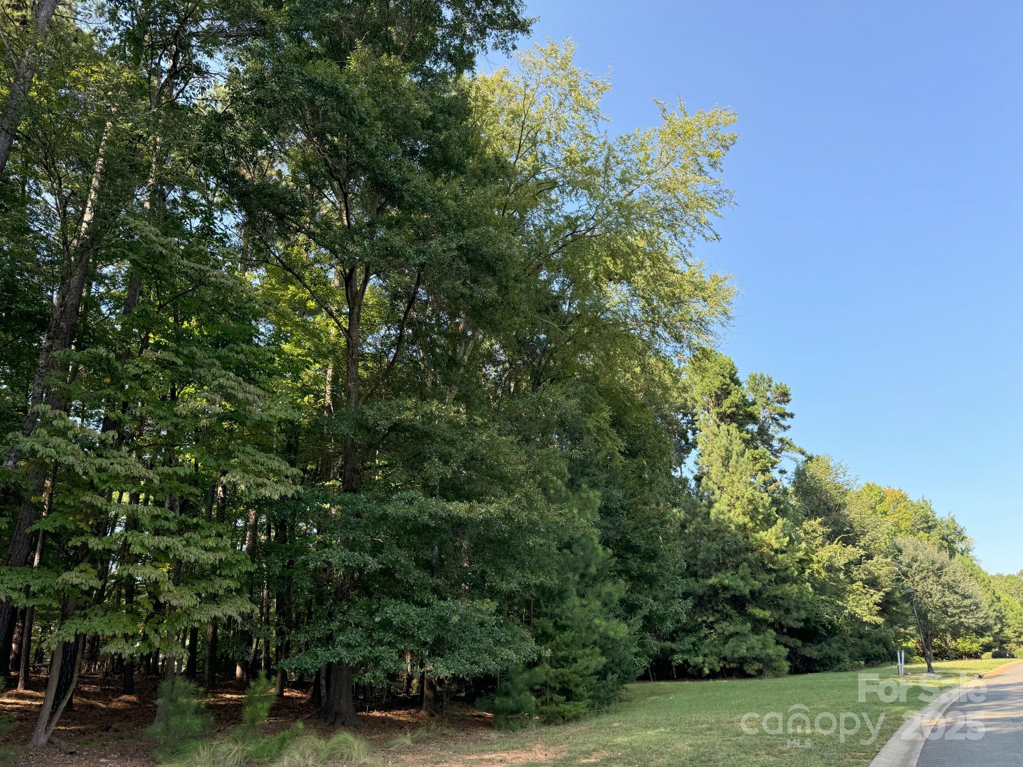 1532 Reflection Pointe Boulevard Belmont, NC 28012 - Photo 10 of 20 a view of a yard with plants and trees