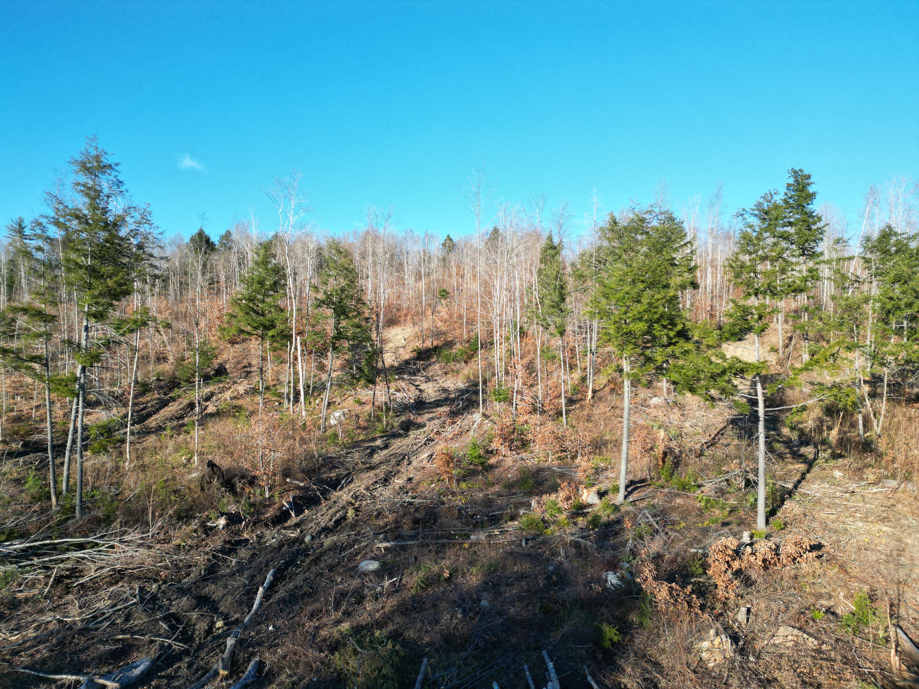 Lot 11 Ghost Road Springfield, ME 04487 - Photo 7 of 10 DJI_0928