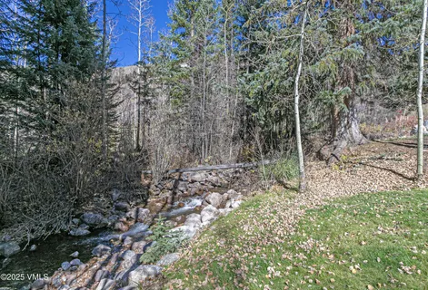 a view of a forest with trees
