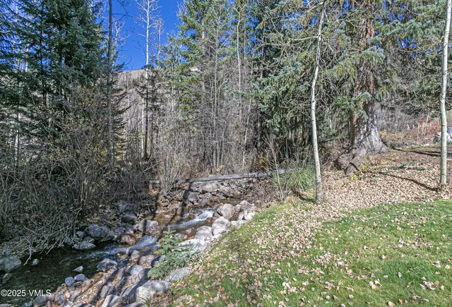 a view of a forest with trees