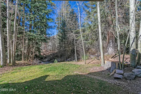 a view of a backyard with plants and large trees