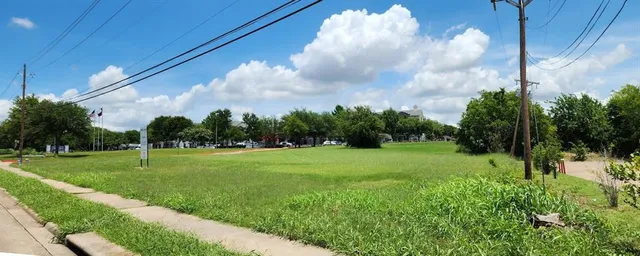 a view of a big yard with a large tree