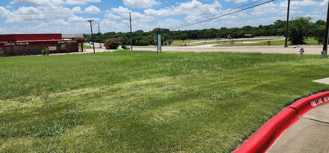 a view of a park with large trees