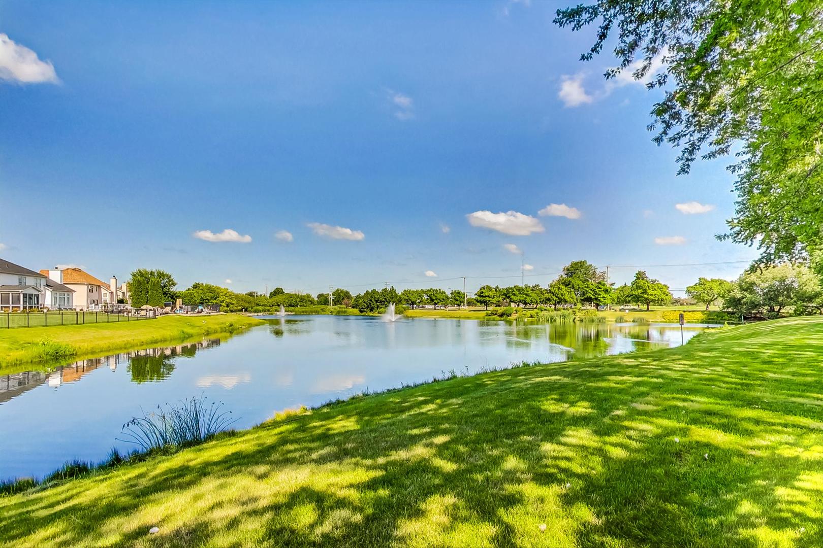 2319 Olde Mill Road Plainfield, IL 60586 - Photo 36 of 36