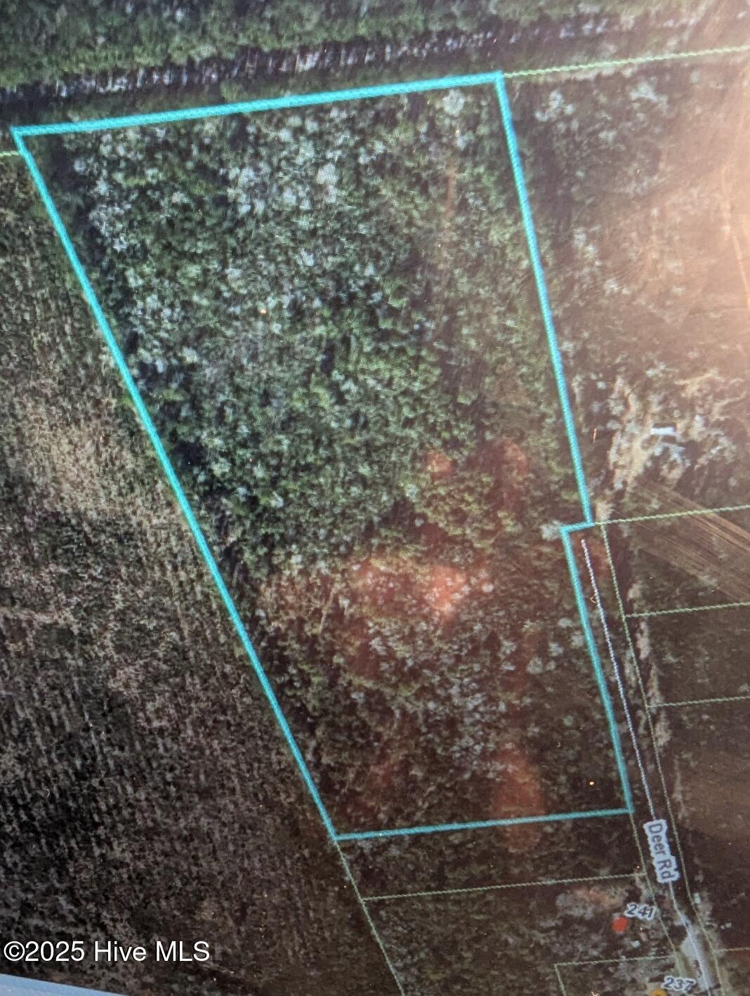 0 Deer Road Hubert, NC 28539 - Photo 1 of 2 MAP