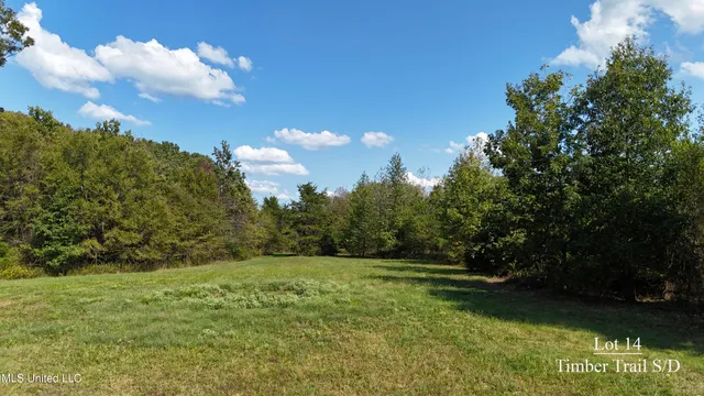 $52,500 | Tyro Branch Cove, Senatobia, MS 38668