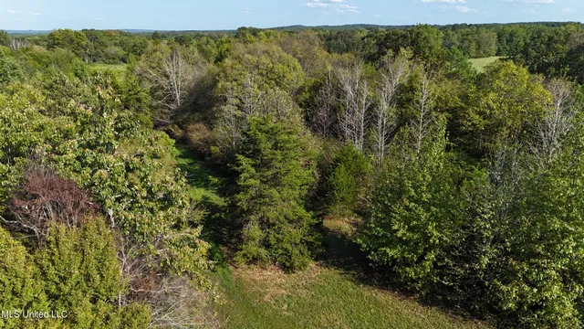 $52,500 | Tyro Branch Cove, Senatobia, MS 38668