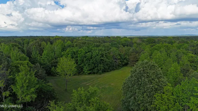 $52,500 | Tyro Branch Cove, Senatobia, MS 38668