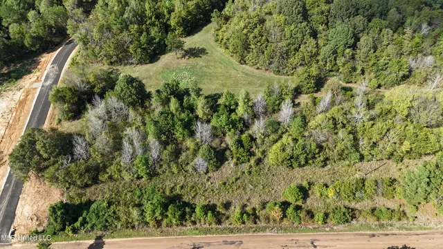 $52,500 | Tyro Branch Cove, Senatobia, MS 38668