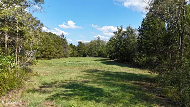 $52,500 | Tyro Branch Cove, Senatobia, MS 38668