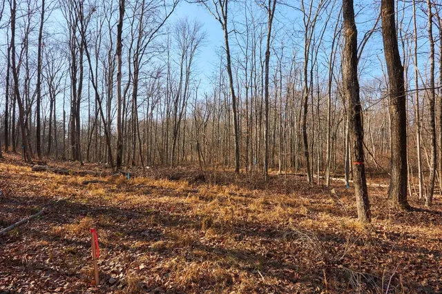 a view of a backyard with pathway