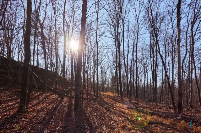 a view of wooden fence