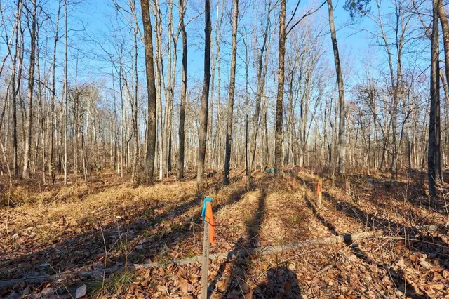 a view of small yard