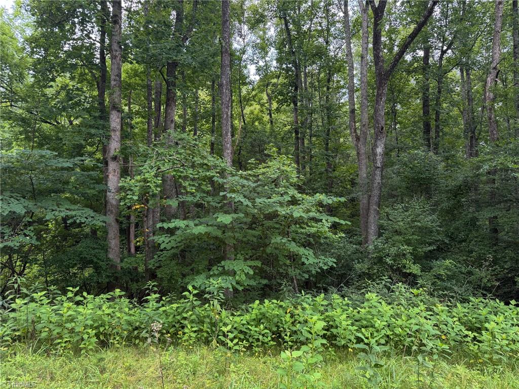 1215 Lucius Beasley Road Westfield, NC 27053 - Photo 24 of 25