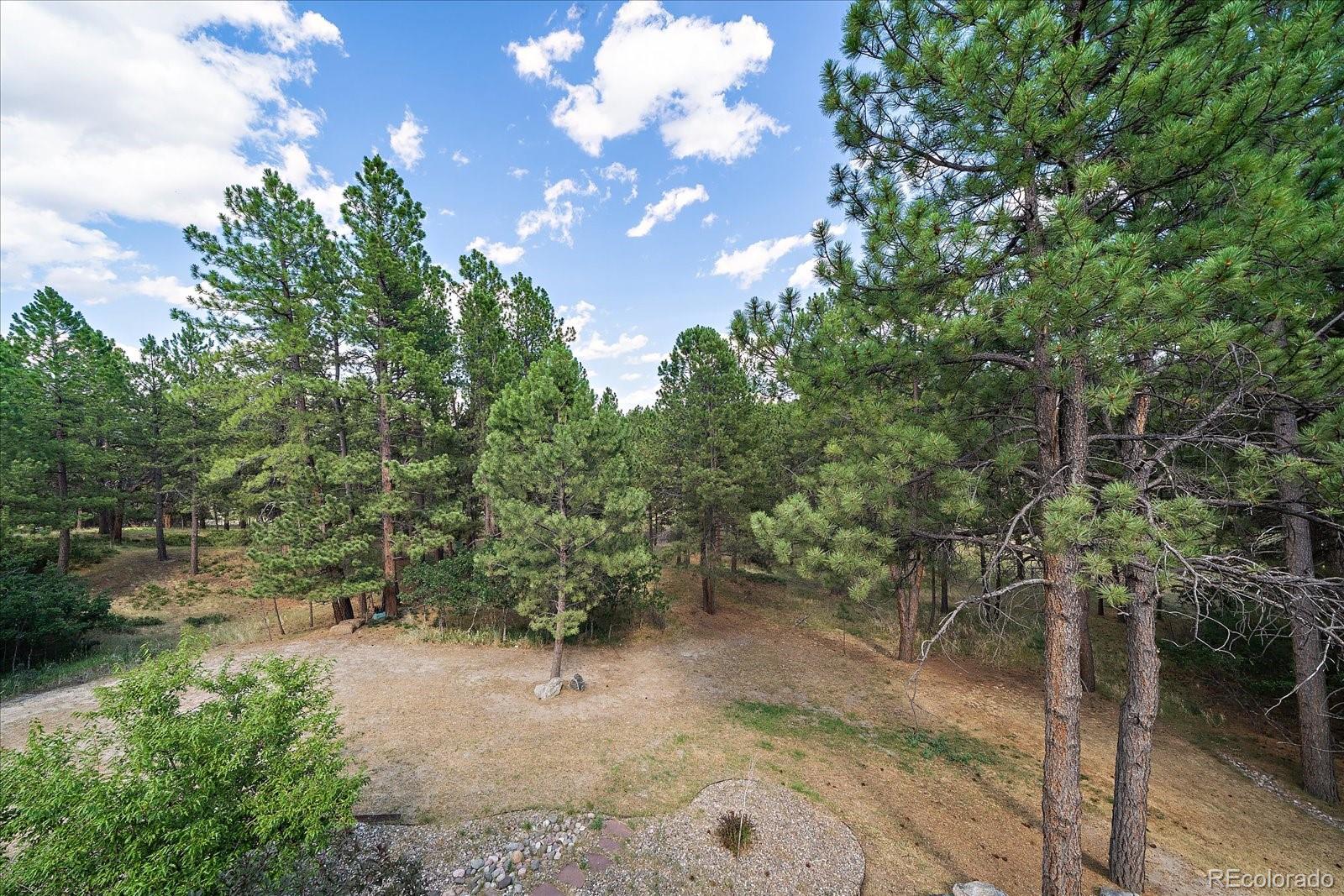 7928 Red Hill Road Larkspur, CO 80118 - Photo 44 of 50 Gallery Image 44