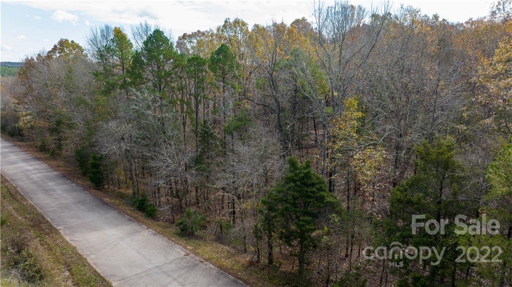 Lot 10 Colony Acres Road Sharon, SC 29742 - Photo 3 of 43 a view of a pathway both side of a road with trees