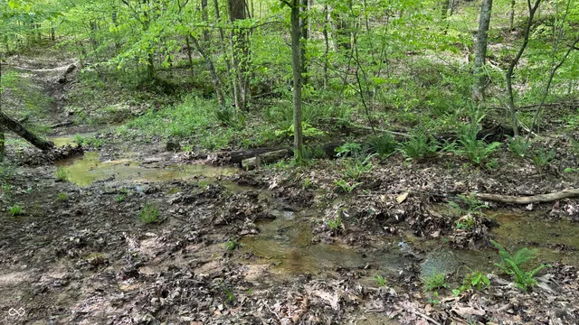 $209,900 | 4 Fiscus Cemetery Road, Coal City, IN 47427