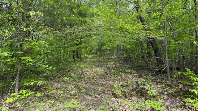 $209,900 | 4 Fiscus Cemetery Road, Coal City, IN 47427