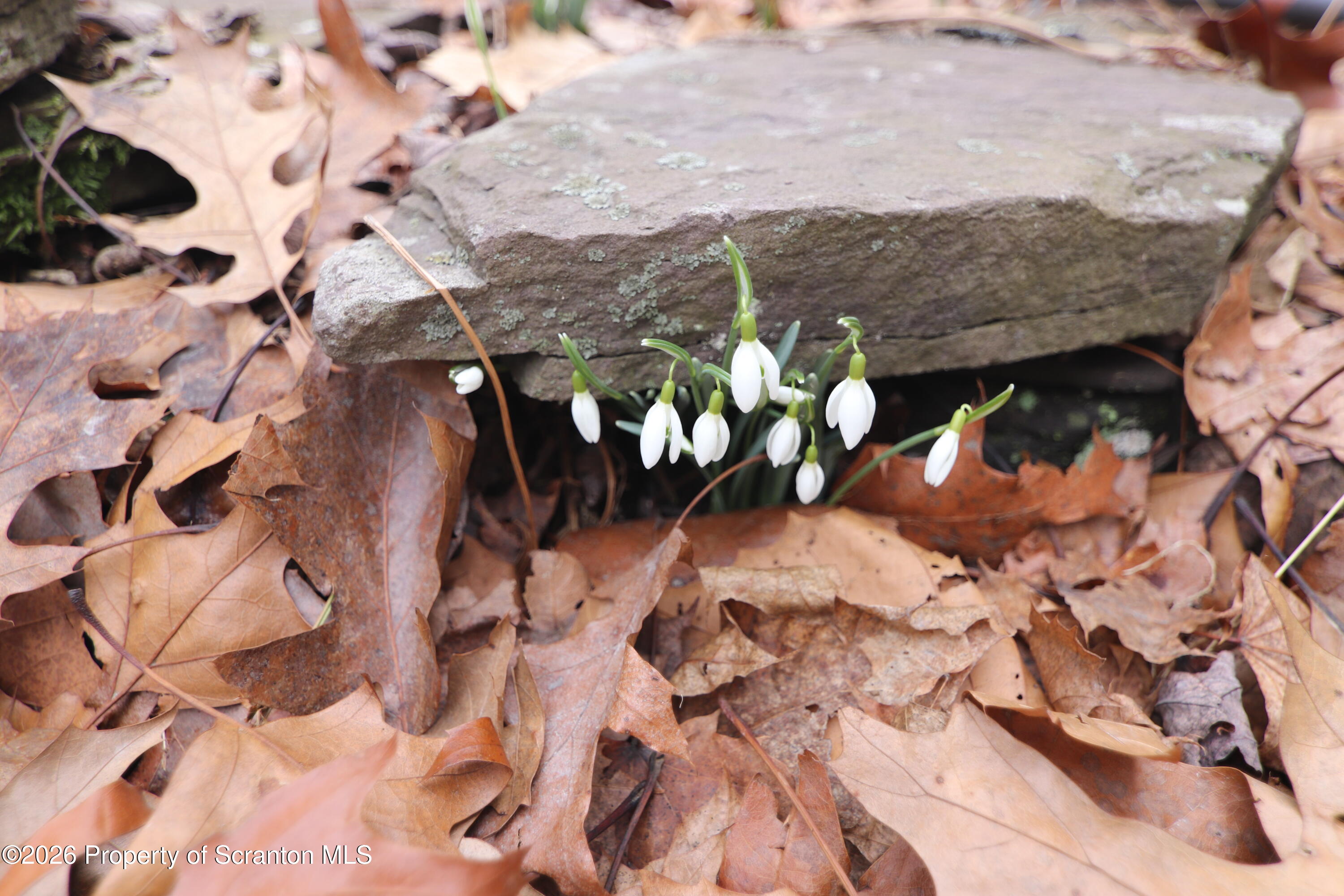 502 State Rte 92 South Tunkhannock, PA 18657 - Photo 48 of 52 IMG_5339