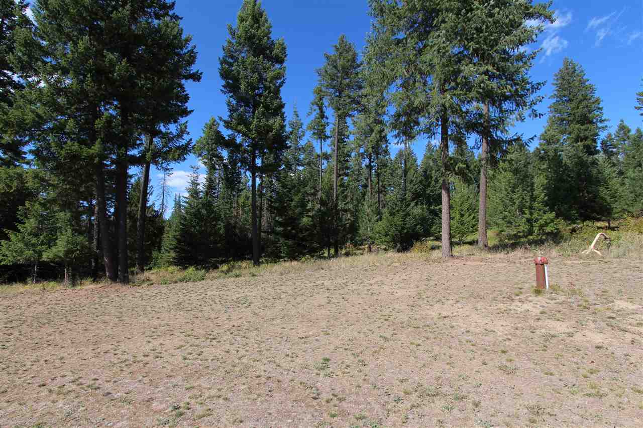 122 North Willms Road Elk, WA 99009 - Photo 16 of 20