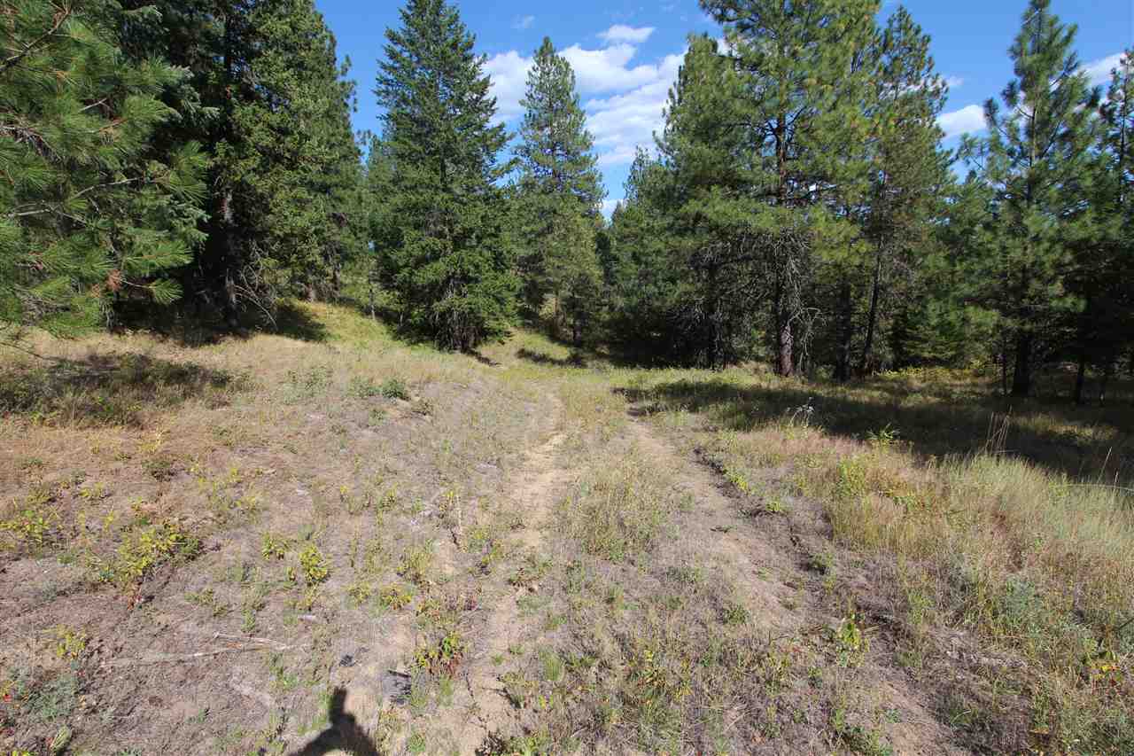 122 North Willms Road Elk, WA 99009 - Photo 17 of 20
